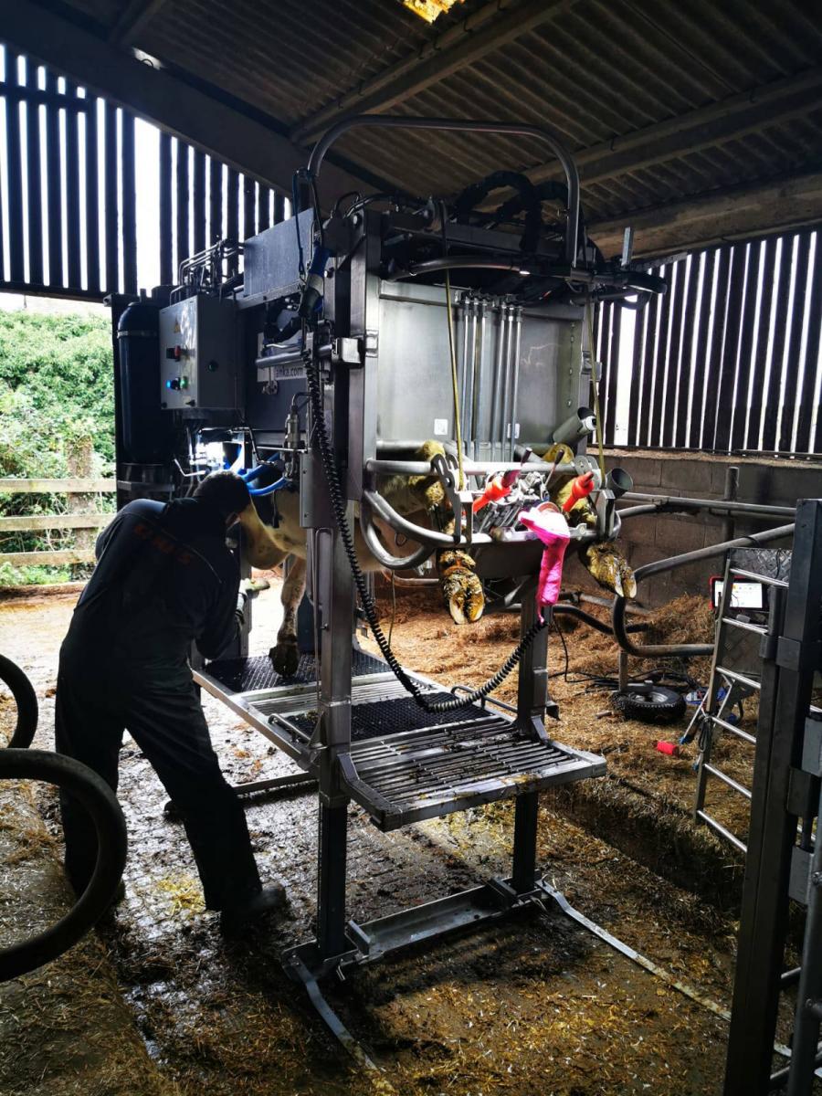 An image of Another day in the life of a Wales and South West Hoof Trimmer goes here.