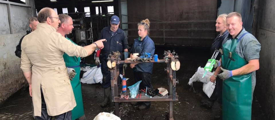 Image of Happy hoof care trainees on one of our on-farm training courses