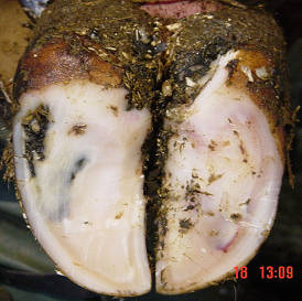 Image linking to the White line disease page for details of  and the  on offer there: Causes, prevention and treatment of white line disease in cattle throughout Somerset, Gloucestershire, Wiltshire and Monmouthshire
